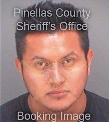 Hernandez Victor - Pinellas County, FL 