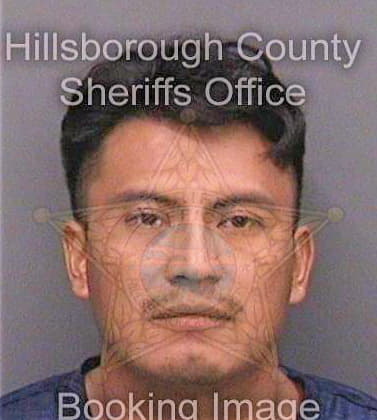 Perezhernandez Emilio - Hillsborough County, FL 