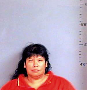 Nino Delores - Brazos County, TX 