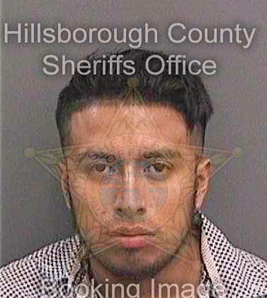 Salazarturrubiatez Lucio - Hillsborough County, FL 