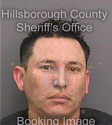 Ortezhernandez Santos - Hillsborough County, FL 