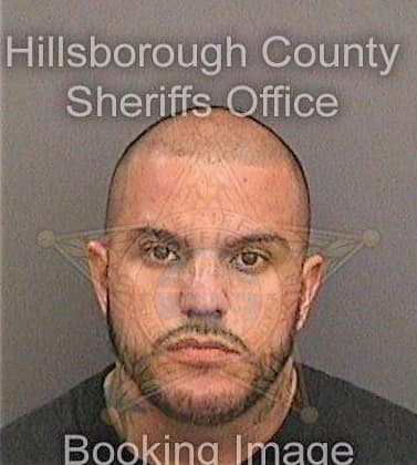 Gonzalez Emilio - Hillsborough County, FL 