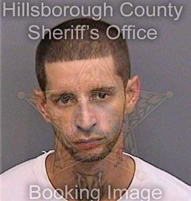Boffil Nicolas - Hillsborough County, FL 