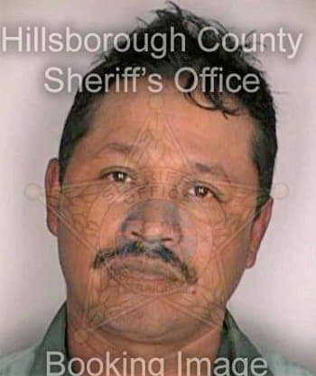 Bustos Benito - Hillsborough County, FL 