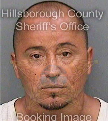 Garcia Juan - Hillsborough County, FL 