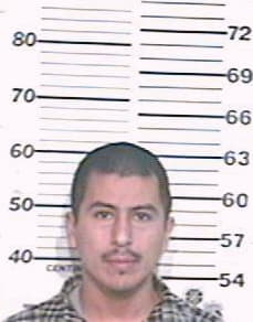 Alaniz Alvaro - Hidalgo County, TX 