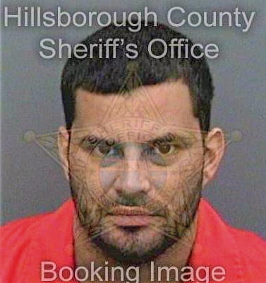 Gonzalez Jose - Hillsborough County, FL 