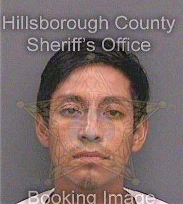 Navarroperez Jose - Hillsborough County, FL 