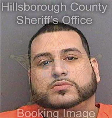 Ramirez Marcelo - Hillsborough County, FL 