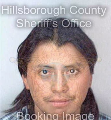 Diaz Martin - Hillsborough County, FL 