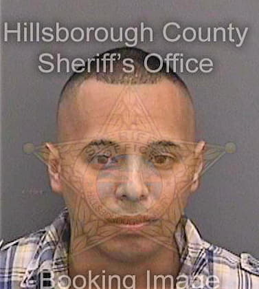 Brenes Victor - Hillsborough County, FL 