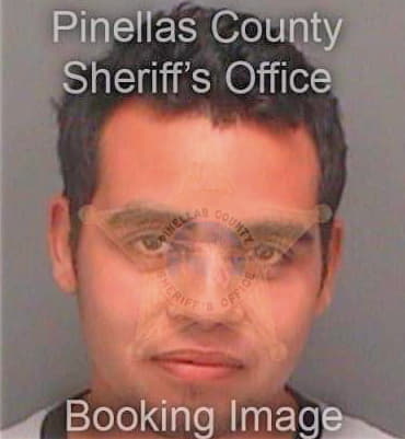 Sanz Robert - Pinellas County, FL 