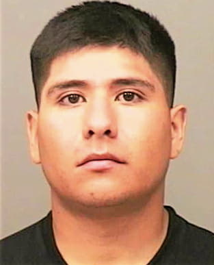 Monroy Armando - Montgomery County, TN 