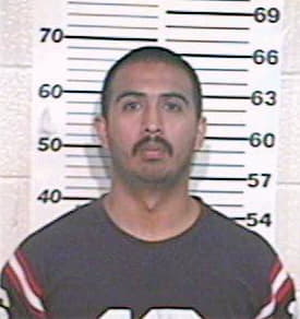 Hernandez Victor - Hidalgo County, TX 