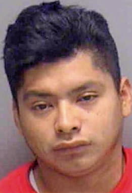 Hernandez Luis - Lee County, FL 