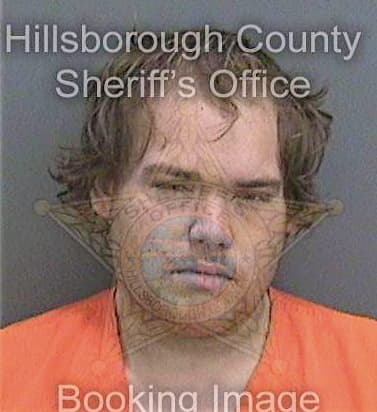 Tomlinson Benjamin - Hillsborough County, FL 