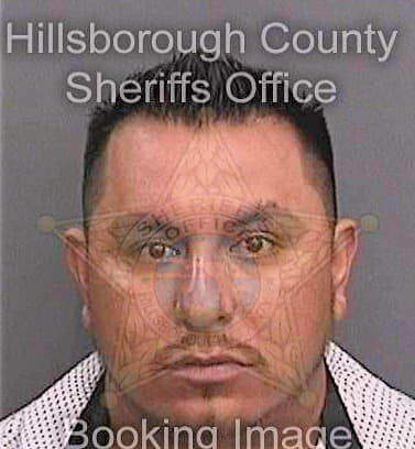 Rinconreynoso Jose - Hillsborough County, FL 