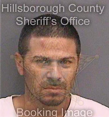 Lugo Ivan - Hillsborough County, FL 