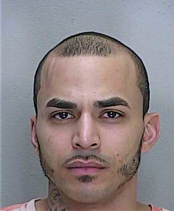 Hernandez Felix - Marion County, FL 