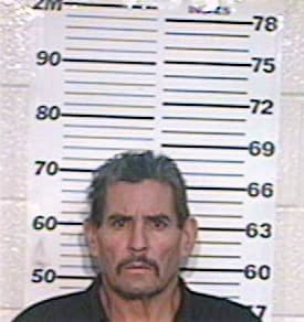 Garcia Nestor - Hidalgo County, TX 