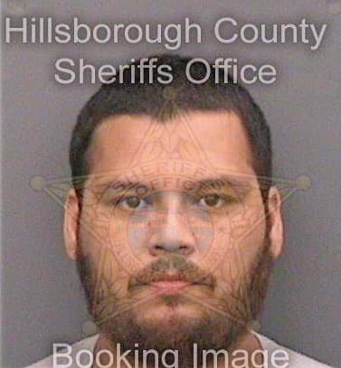 Dealejandrorodriquez Raul - Hillsborough County, FL 