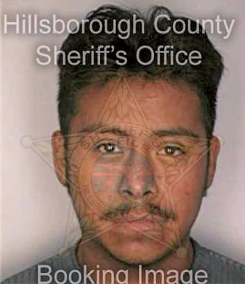 Gonzalezflores Antonio - Hillsborough County, FL 