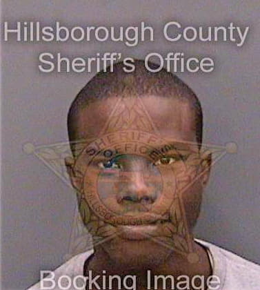 Johnson Reginald - Hillsborough County, FL 