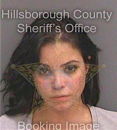 Acosta Greter - Hillsborough County, FL 