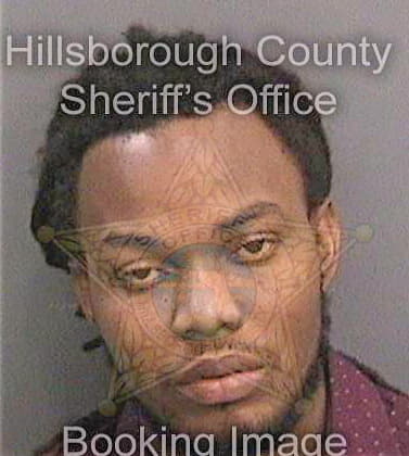 Delva Fidelson - Hillsborough County, FL 