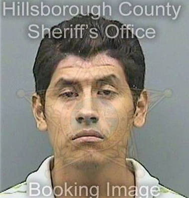 Salvadorcruz Luis - Hillsborough County, FL 