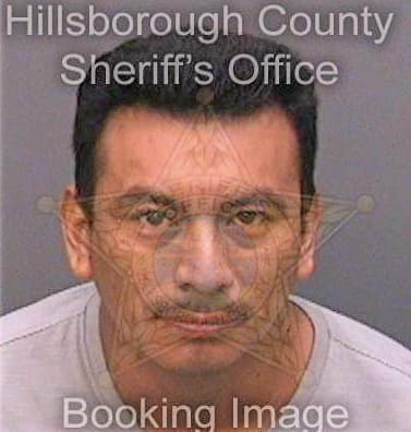 Vasquezcoronado Ramiro - Hillsborough County, FL 