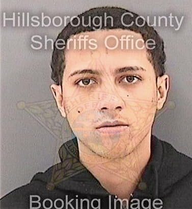 Ortiz Alberto - Hillsborough County, FL 