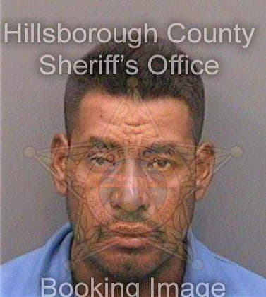 Ventura Domingo - Hillsborough County, FL 