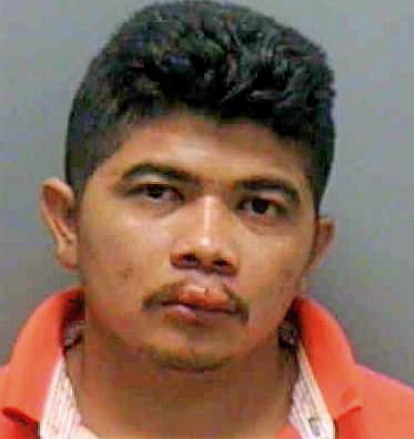 Segura-Cardona Nelson - Lee County, FL 