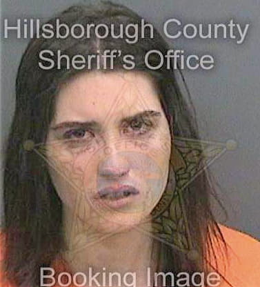 Chasteen Elizabeth - Hillsborough County, FL 