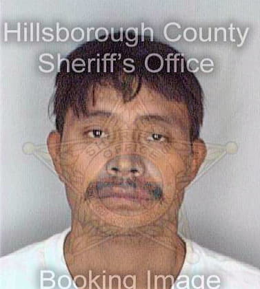 Ramosgarcia Patricio - Hillsborough County, FL 