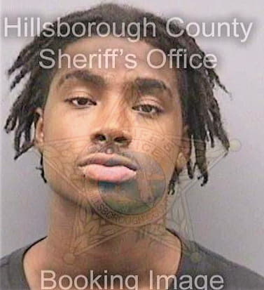 Mccray Sedrick - Hillsborough County, FL 
