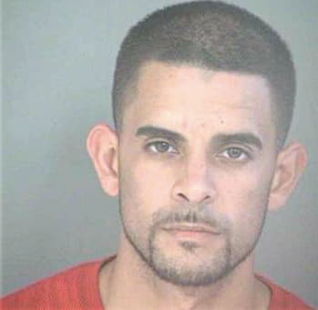 Mendez Christopher - Hillsborough County, FL 