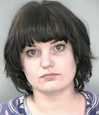 Goellner Clare - Hillsborough County, FL 