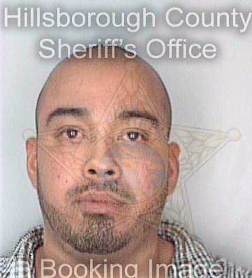 Mendez Luis - Hillsborough County, FL 