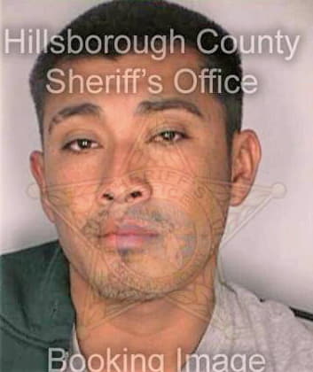 Mendez Pedro - Hillsborough County, FL 