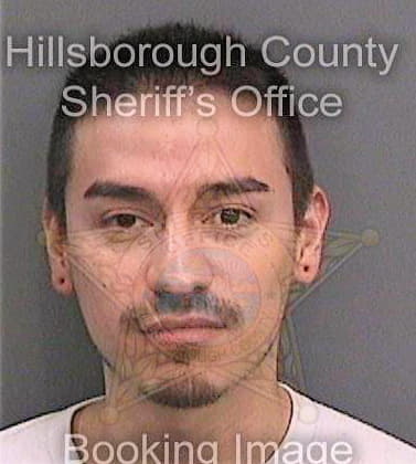 Miranda Ivan - Hillsborough County, FL 