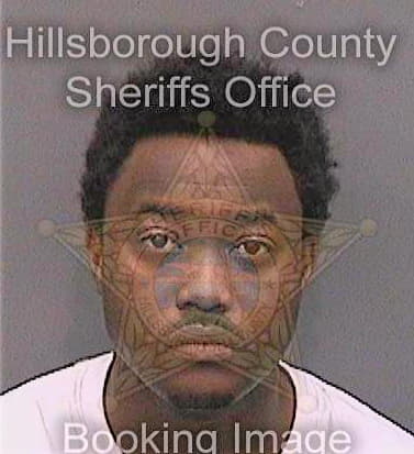 Davis Eric - Hillsborough County, FL 