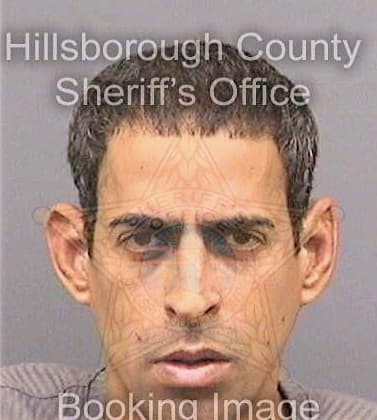 Ramoscollazo Hector - Hillsborough County, FL 