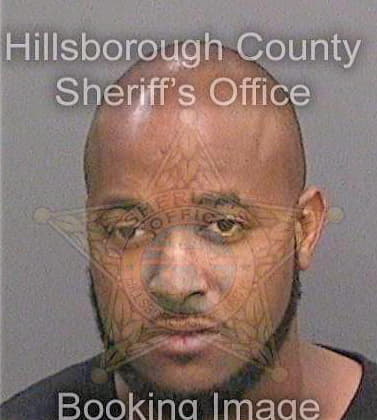 Mcneely Jaison - Hillsborough County, FL 