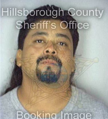 Mejia Sergio - Hillsborough County, FL 