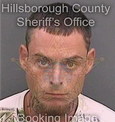 Baynard Michael - Hillsborough County, FL 