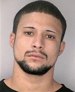 Sanchez Andres - Hillsborough County, FL 