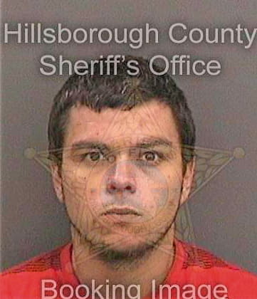 Griffin Daniel - Hillsborough County, FL 