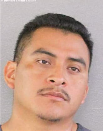 Hernandez Andres - Broward County, FL 